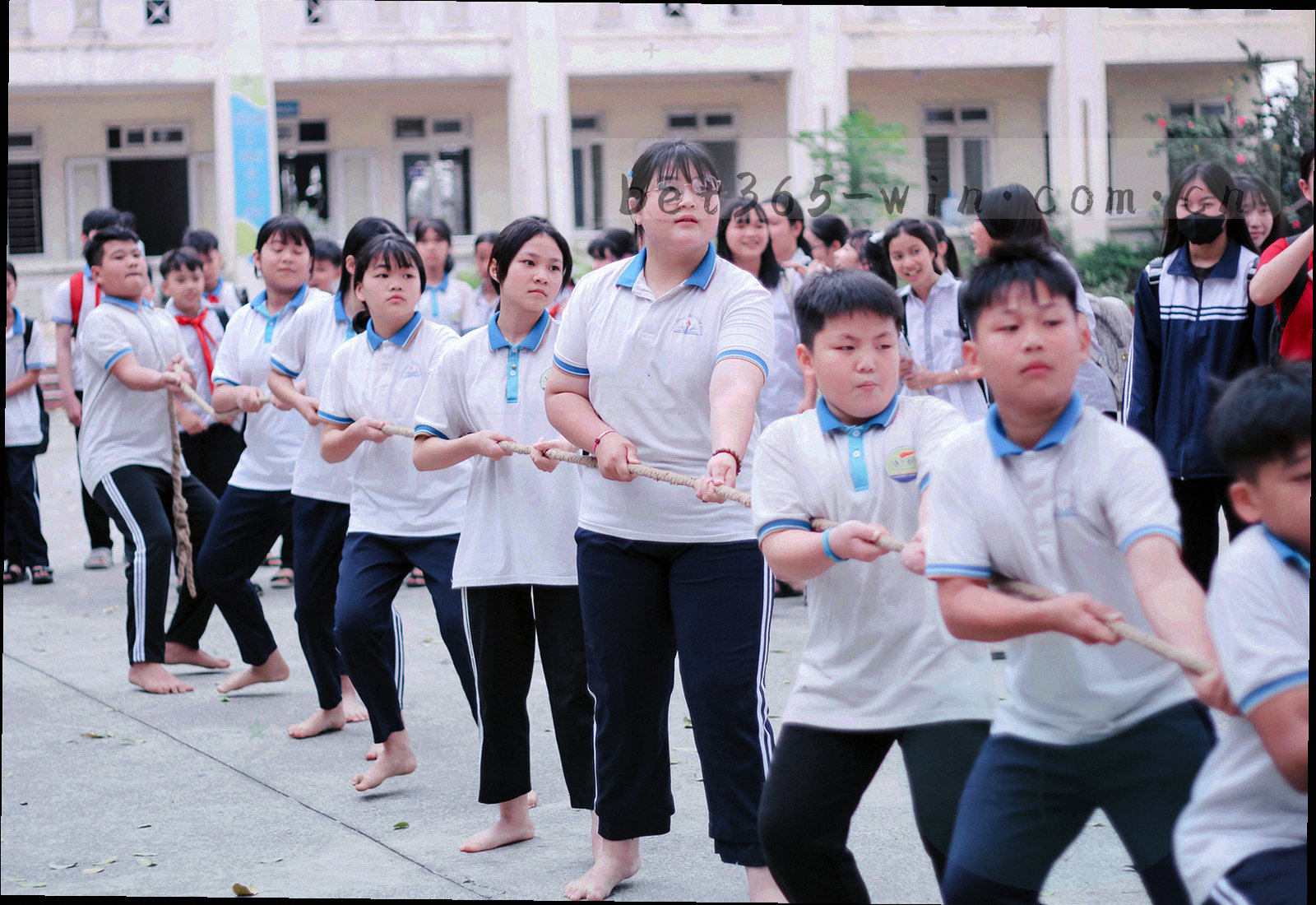 抽象球场俯视几何线条与坐标刻度，无人物、无徽标